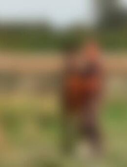 Pfe*** - Nordkirchen