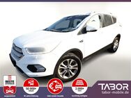 Ford Kuga, 1.5 EB 150 Titanium elHk, Jahr 2019 - Freiburg (Breisgau)