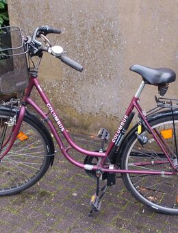 Damen- und Herrenfahrrad - Wesel
