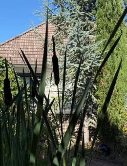 Alles stimmig! - Lassen Sie den Charakter dieses Hauses neu erstrahlen! - Barsinghausen