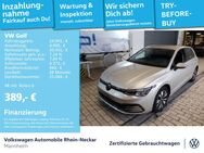 VW Golf, 1.0 VIII eTSI Move Gar 2028, Jahr 2023 - Mannheim