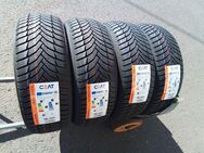 4 Neu Allwetterreifen Ganzjahresreifen G 195 55 16 91 V Ceat 295,- Euro incl. montage - Sprendlingen