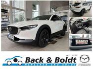 Mazda CX-30 Homura 2.0i BOSE+SITZHEIZUNG+PREMIUM-P - Hamburg