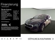 Skoda Octavia, 2.0 TDI IV Combi First Ed, Jahr 2021 - Hofheim (Taunus)