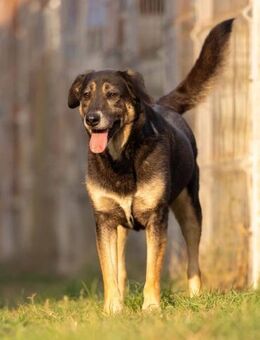 Hübsche Bubulina - Kallmünz