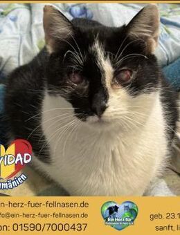 Navidad träumt von einem eigenen Zuhause - Waakirchen