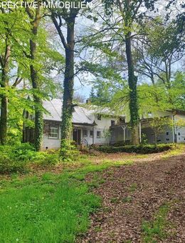 Ideal für Individualisten - Anwesen in völliger Alleinlage - Reichelsheim (Odenwald)