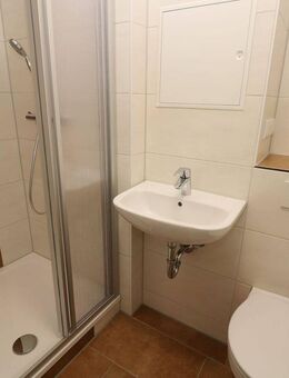 Mein eigenes Königreich...helle 1-RW mit Dusche!!! - Freiberg
