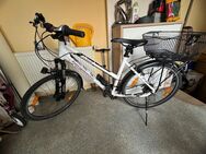 Citybike von Bergamont - Rutesheim