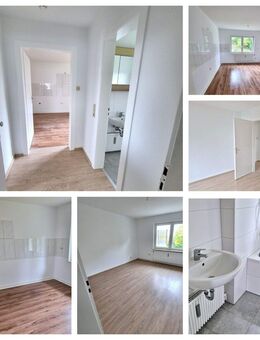 Helle renovierte 2- Zi Wohnung (zuzügl. weiterem Zimmer + Gäste WC im DG) mit Gartenanteil zu vermieten - Lüdenscheid