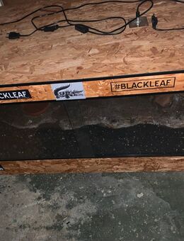 Verkaufe osb Terra - Rostock