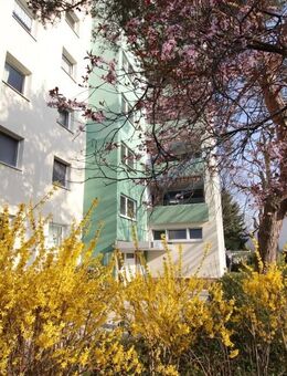 Gesucht & gefunden ... - Seeheim-Jugenheim