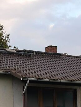 Dachpfannen zu verschenken - Ginsheim-Gustavsburg