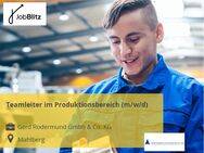 Teamleiter im Produktionsbereich (m/w/d) - Mahlberg