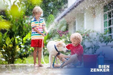 Frühlingserwachen - lassen Sie Ihren Traum vom eigenen Haus in nur 10 Monaten erblühen. Mit unserer Best- und Festpreisgarantie! Inklusive PV-Anlage