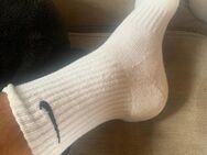 verkaufe sportsocken/ used sneaker socken - Köln