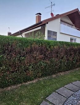 🌿 Gartenservice & Brennholz – zuverlässig, regional & fair - Lenningen