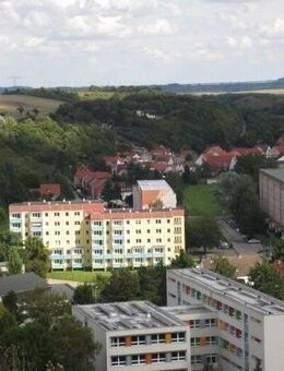 1-Raum sonnig im GRÜNEN mit BALKON+AUFZUG- zentral und gemütlich - Thale