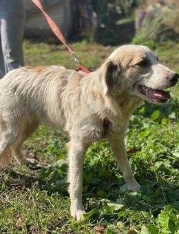 Jenny wartet auf ihre Entdeckung - Marienfließ