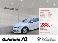 VW Golf, 1.5 TSI VIII Life, Jahr 2022 - Bad Arolsen