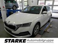 Skoda Octavia, 2.0 TDI Combi Style, Jahr 2022 - Osnabrück