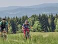 Sportliche Radfahrer/Innen für gemeinsame Radtouren (eMTB, MTB, Rennrad, Gravel) in Zirndorf und Umgebung gesucht in 90513
