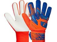 Reusch Torwarthandschuhe Attrakt Starter Solid Junior mit Negative Cut