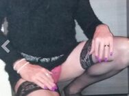 Devote Crossdresser Stute sucht - Bad Rappenau