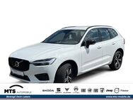 Volvo XC40, Momentum, Jahr 2021 - Neu Anspach