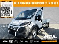 Fiat Ducato, Maxi 35 L3 Pritsche # #, Jahr 2022 - Bayreuth