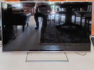 Panasonic Fernseher 55 Zoll - Hitzacker (Elbe)