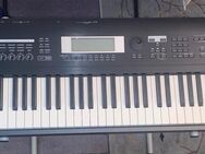 Korg TR-88 Workstation – 88 Tasten, gewichtete RH2-Tastatur, gepfleg - Neuberg