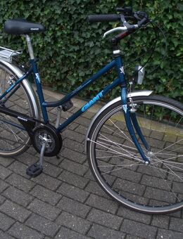 GIANT Tourer Tourenrad / Markenrad / Shimano Alivio / Small 48cm Rh - Köln