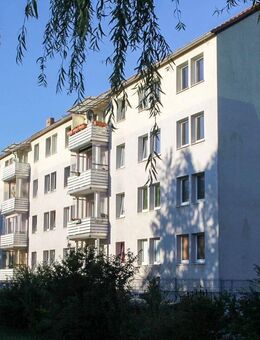 Helle 1-Zimmer-Wohnung mit Küche u. Möbeln in grüner Umgebung - Altdöbern