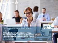 Mitarbeiter im Kundenservice / Kundendienst / Telefonverkäufer (m/w/d) / Sales Department mit dem Fokus Eiswaren - Ludwigsfelde