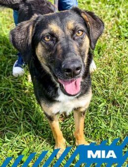 Mia - großes Herz voller Liebe - Berlin