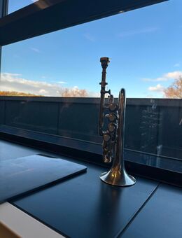 Thein piccolo trompete - Berlin Reinickendorf