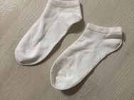 Verkaufe getragene Socken - Oldenburg