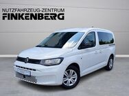 VW Caddy, 1.5 TSI Maxi, Jahr 2024 - Verden (Aller)