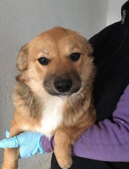 HAPPY wartet auf ihre Familie - Köln