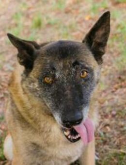 VOBIS - es gibt nicht immer nur Vollgas - Overath