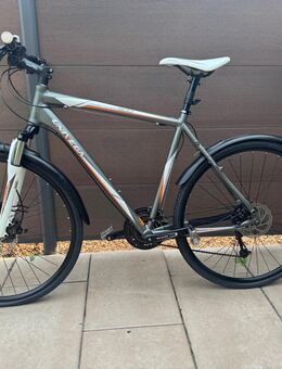 Herren-Fahrrad - Helmstedt