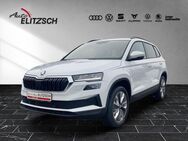 Skoda Karoq, Tour, Jahr 2023 - Kamenz