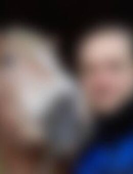 Pfe*** - Lütjenburg