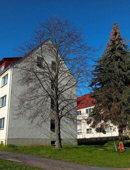 3-Zimmer-Wohnung mit Einbauküche, saniert - Ostrau