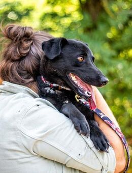 Cézár, fröhlicher Clown, ca. 5 Jahre - Vaterstetten