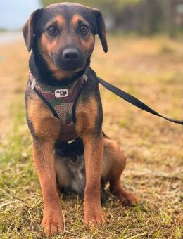 Caando auf der Suche nach seinem Glück - Berlin