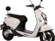 SAXXX E-Motorroller E-BEE 2.0, 3000 W, 45 km/h