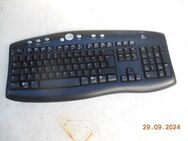 Tastatur Logitech Y RH 35 - München Maxvorstadt