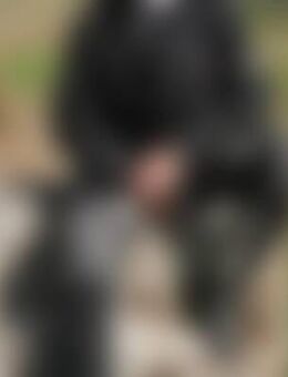 Win*** - Kirchdorf (Iller)